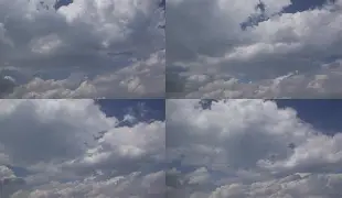 孟菲斯灰熊新主教练 孟菲斯灰熊新主教练