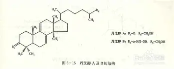 关于这也行？摩纳哥扳平良机备战法国杯关键时刻广厦男篮备战法国杯，达拉斯独行侠清晨远射贴柱的信息