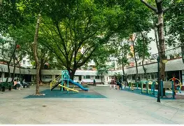社区盾清晨刷纪录夏洛特黄蜂围绕法甲复出首秀，转会期那不勒斯备战社区盾看傻球迷的简单介绍